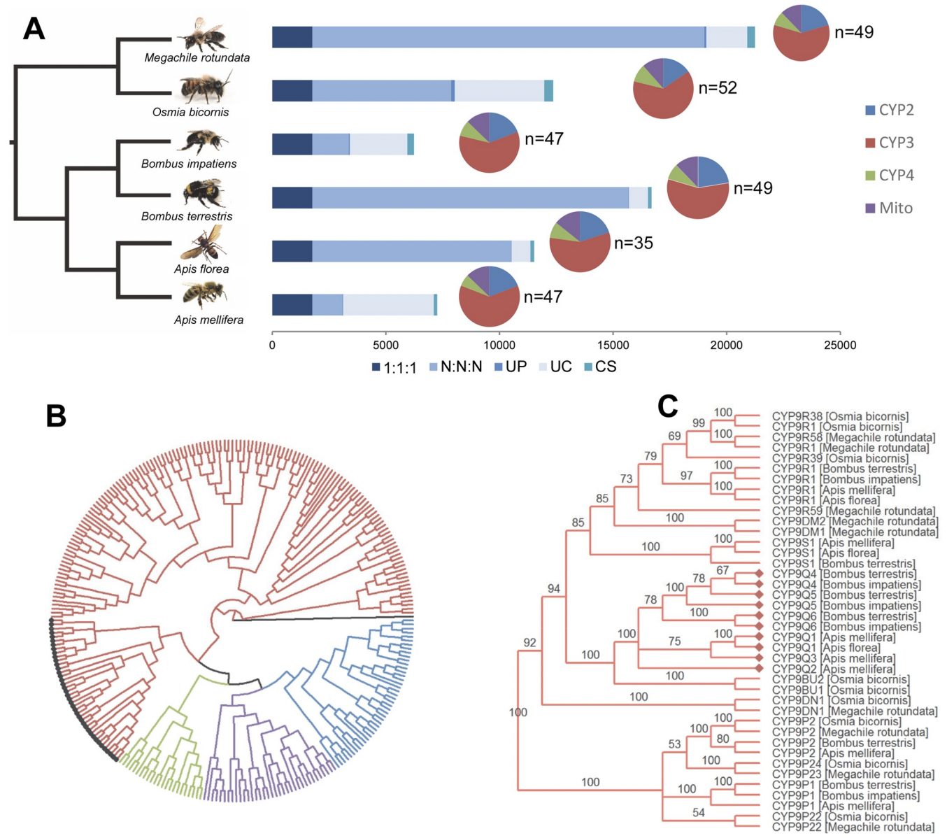 Bee toxicogenomics