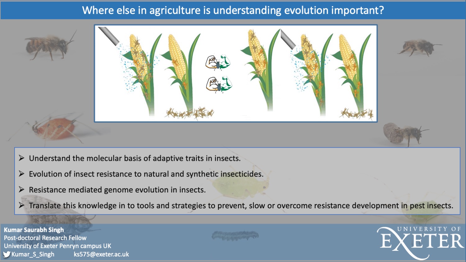 Genomics Insect Insect Genomics | Kumar Saurabh Singh