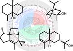 Phylogenomic analyses and distribution of terpene synthases among Streptomyces