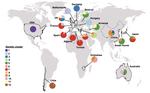 Global patterns in genomic diversity underpinning the evolution of insecticide resistance in the aphid crop pest Myzus persicae