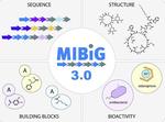 MIBiG 3.0 a community-driven effort to annotate experimentally validated biosynthetic gene clusters