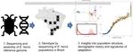 The genome sequence of the Neotropical brown stink bug, Euschistus heros provides insights into population structure, demographic history and signatures of adaptation