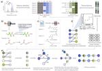 MEANtools: multi-omics integration towards metabolite anticipation and biosynthetic pathway prediction (preprint)