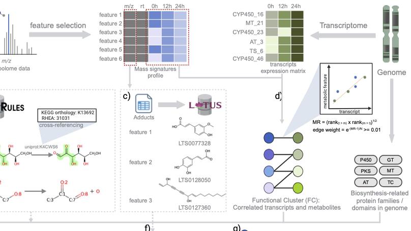 MEANtools: multi-omics integration towards metabolite anticipation and biosynthetic pathway prediction (preprint)