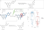 MEANtools integrates multi-omics data to identify metabolites and predict biosynthetic pathways