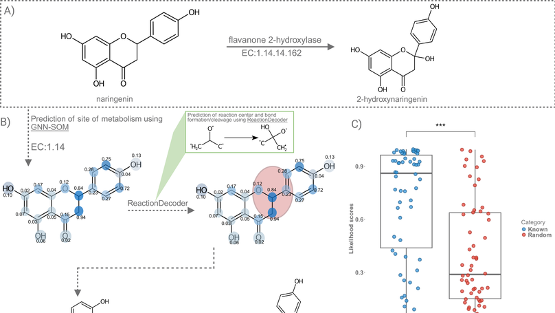 MEANtools integrates multi-omics data to identify metabolites and predict biosynthetic pathways
