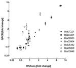 Use of the synergist piperonyl butoxide can slow the development of alpha‐cypermethrin resistance in the whitefly Bemisia tabaci
