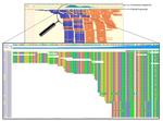 Extension of Partial Gene Transcripts by Iterative Mapping of RNA-Seq Raw Reads