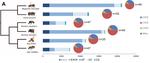 Genomic insights into neonicotinoid sensitivity in the solitary bee Osmia bicornis