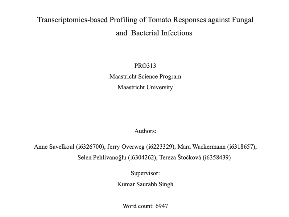 Project Report